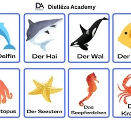 Përshëndetje nga Diellëza Academy!