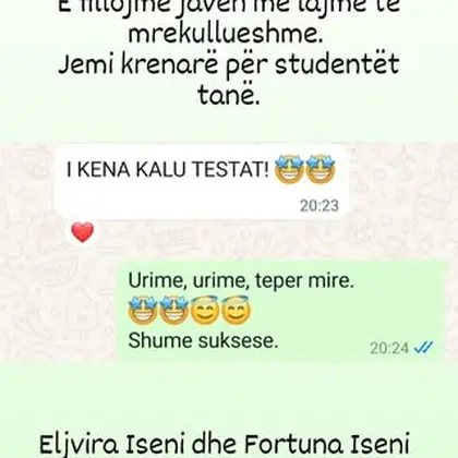 Eljvira Iseni dhe Fortuna Iseni kanë ndjekur kursin e gjuhës gjermane nivelin A1 tek ne.…