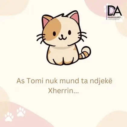 As Tomi nuk mund ta ndjekë Xherrin, por ti mund të ndjekësh kursin në Diellëza Academy!