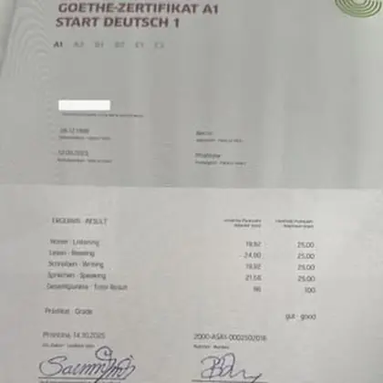Shumë njerëz duan të shkojnë në Gjermani.